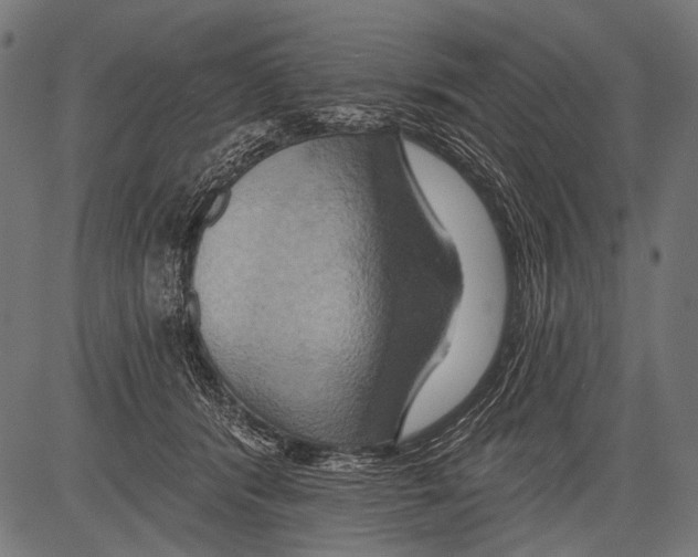 X0000081500416200702100100