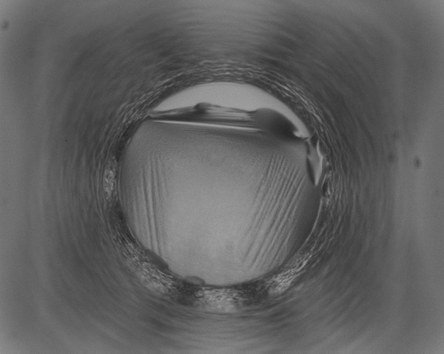X0000081500417200702100100