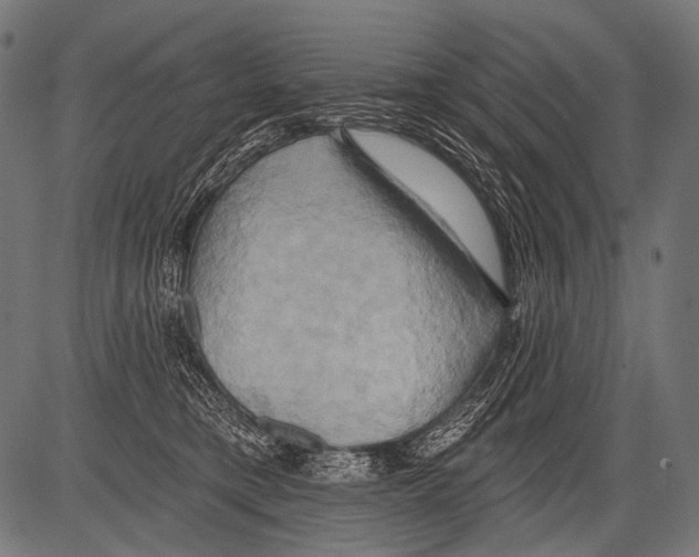 X0000081500421200702100100