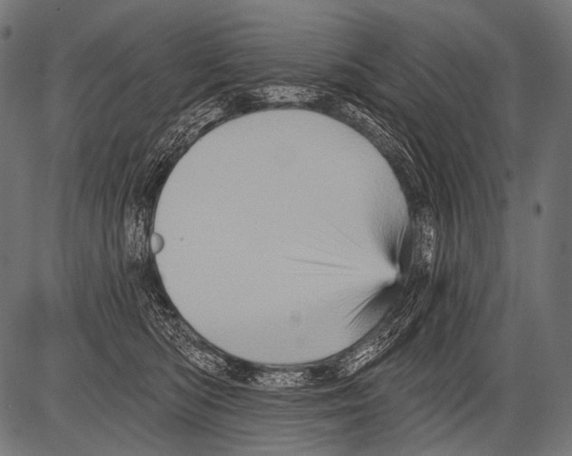 X0000081500422200702100100