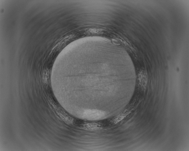 X0000081500423200702100100