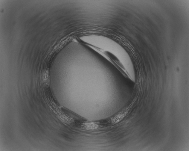 X0000081500425200702100100