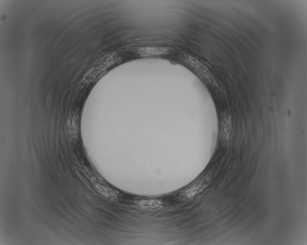 X0000081500426200702100100