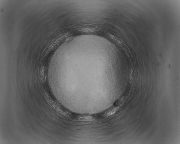 X0000081500428200702100100