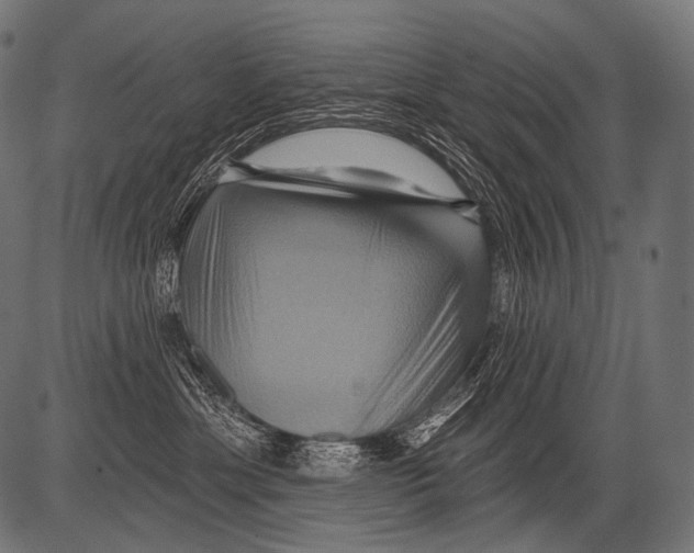 X0000081500429200702100100