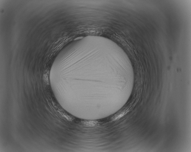 X0000081500432200702100100