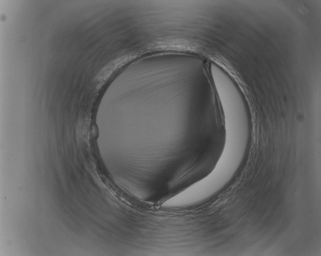 X0000081500434200702100059