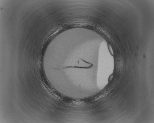 X0000081500455200702100100