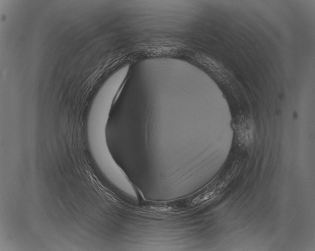 X0000081500458200702100100