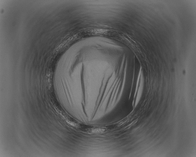 X0000081500462200702100100