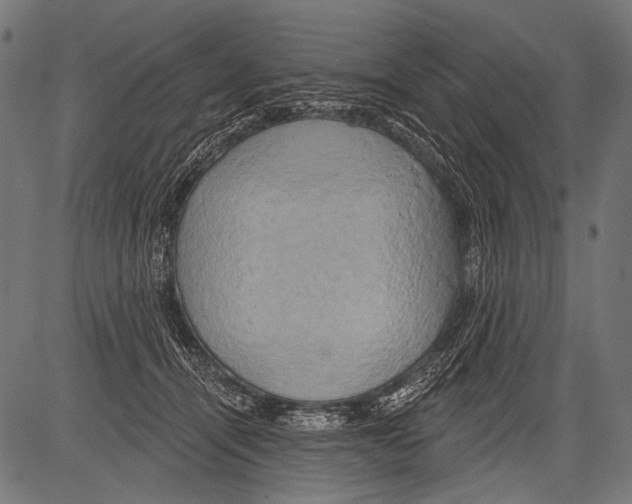 X0000081500464200702100100