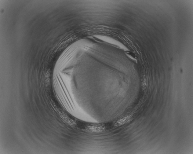X0000081500466200702100100