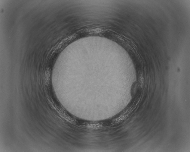 X0000081500468200702100100