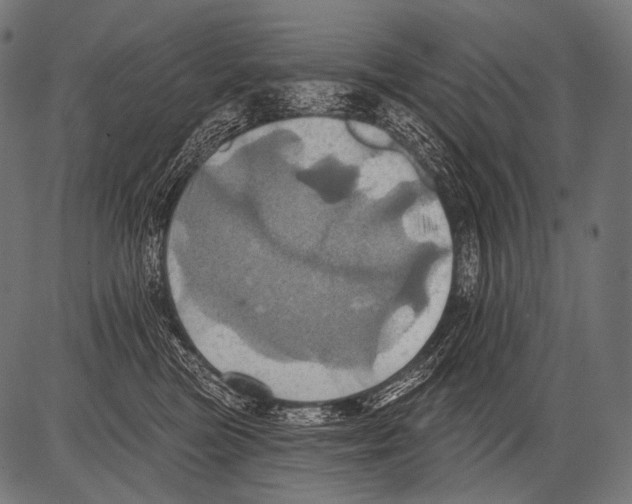 X0000081500473200702100100
