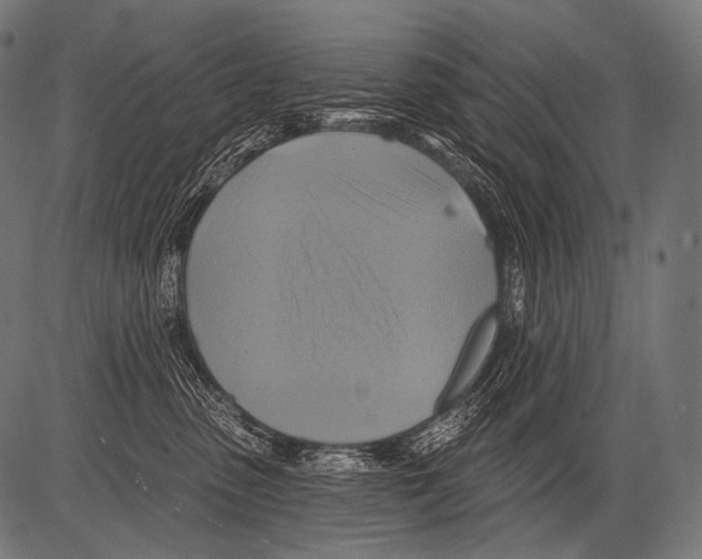 X0000081500475200702100100