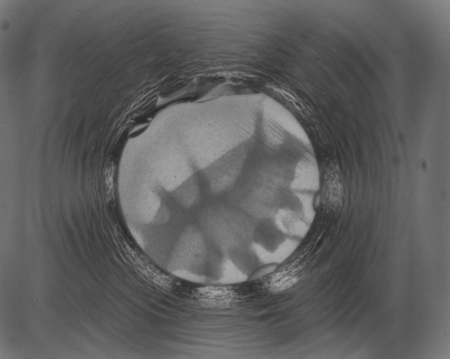 X0000081500477200702100100