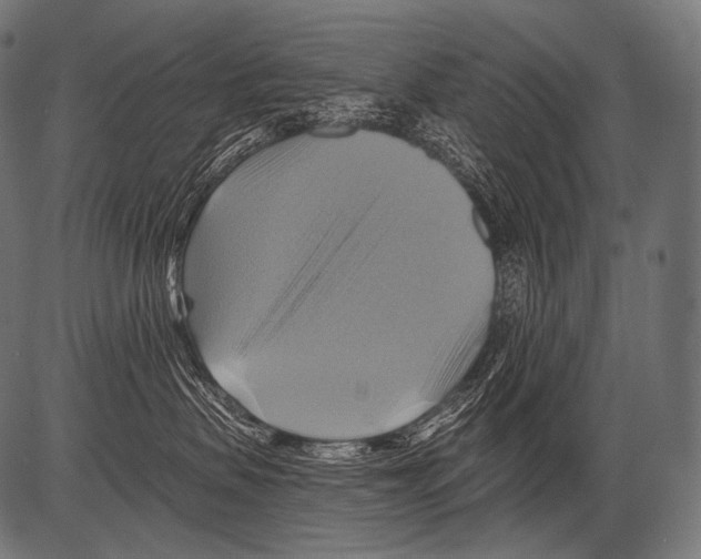 X0000081500479200702100100