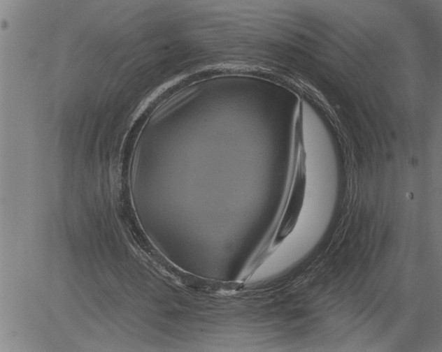 X0000081500484200702100059
