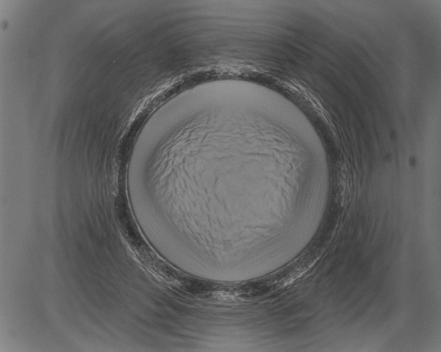 X0000081500496200702100059