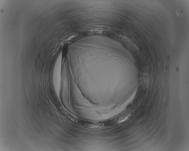 X0000081500504200702100059