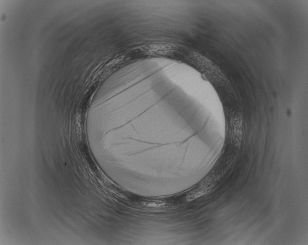 X0000081500506200702100059