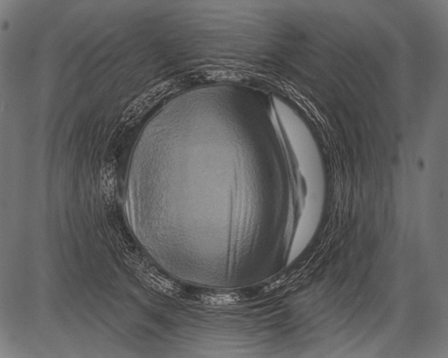 X0000081500513200702100059