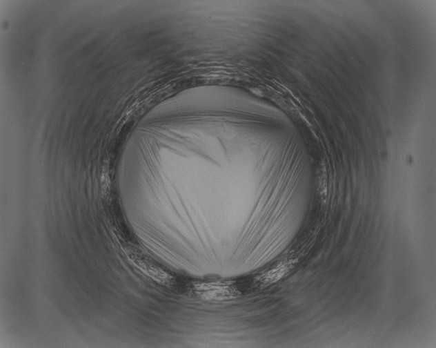 X0000081500516200702100059