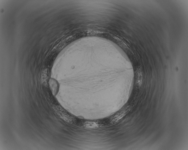 X0000081500519200702100059