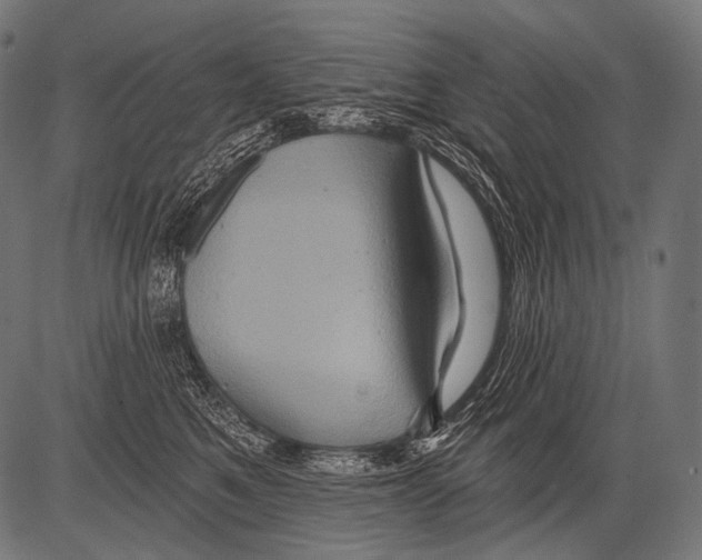 X0000081500521200702100059