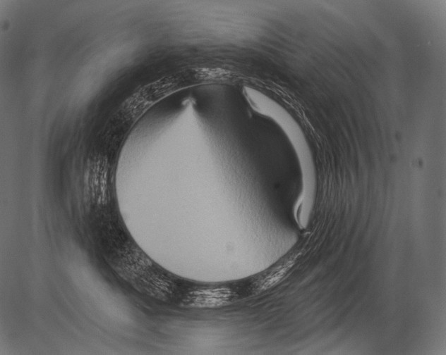 X0000081500525200702100059