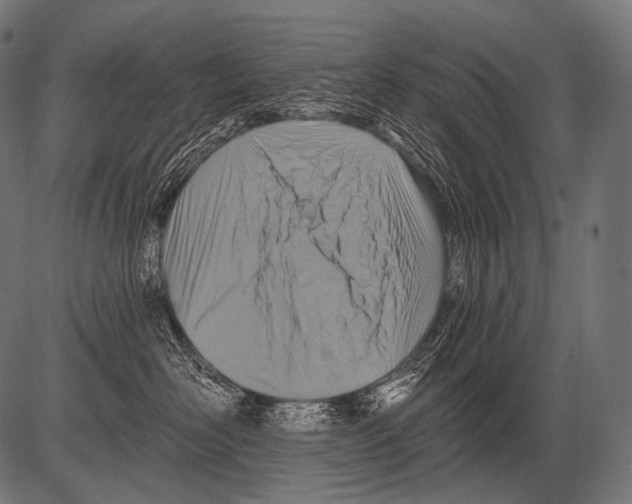 X0000081500526200702100059