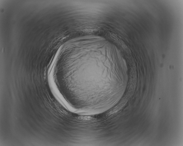 X0000081500528200702100058