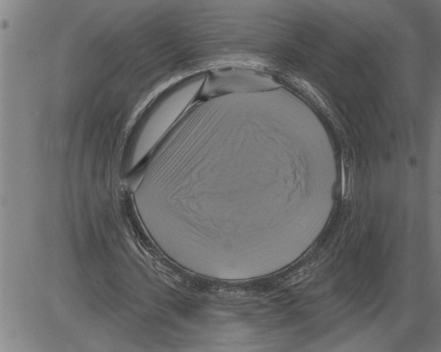 X0000081500531200702100058