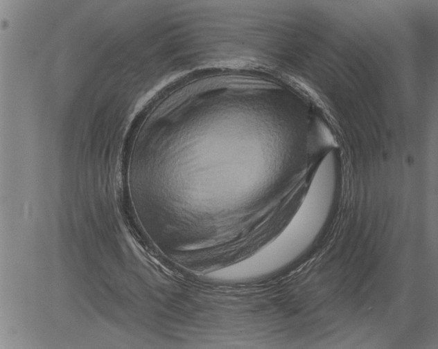 X0000081500532200702100058