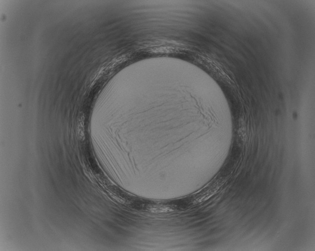 X0000081500547200702100058