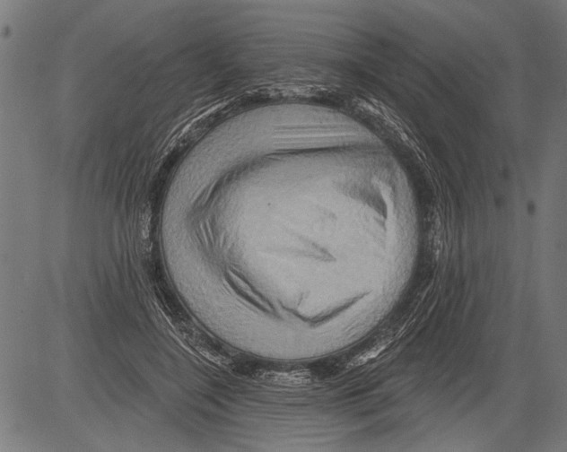 X0000081500548200702100058