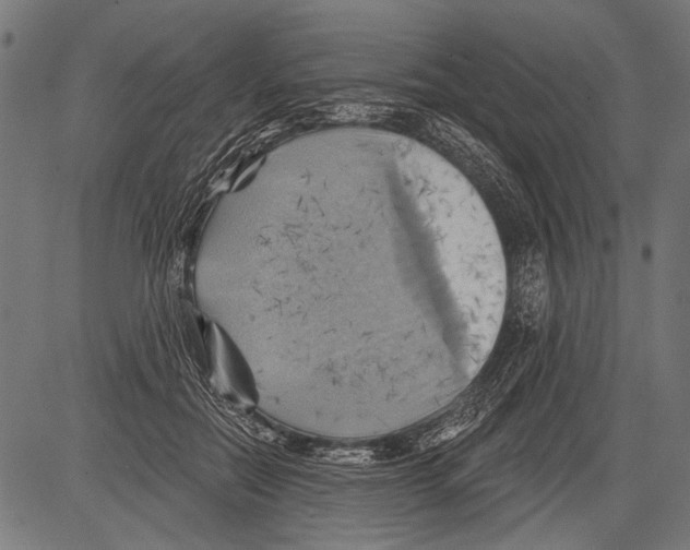 X0000081500554200702100058