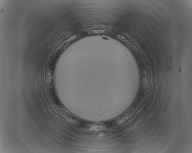 X0000081500555200702100058
