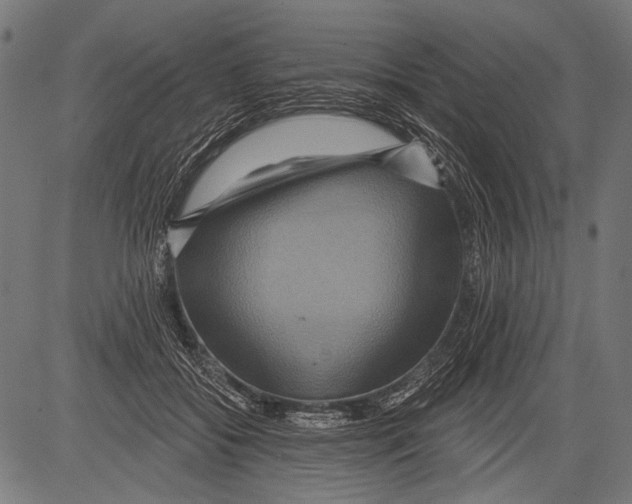 X0000081500556200702100058