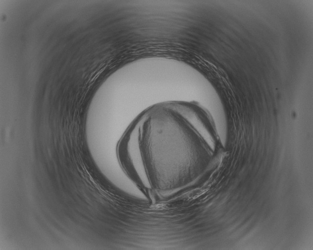 X0000081500560200702100058