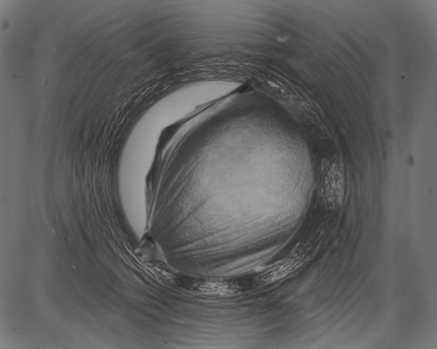 X0000081500562200702100058