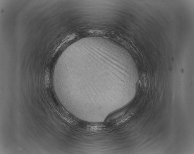 X0000081500564200702100058