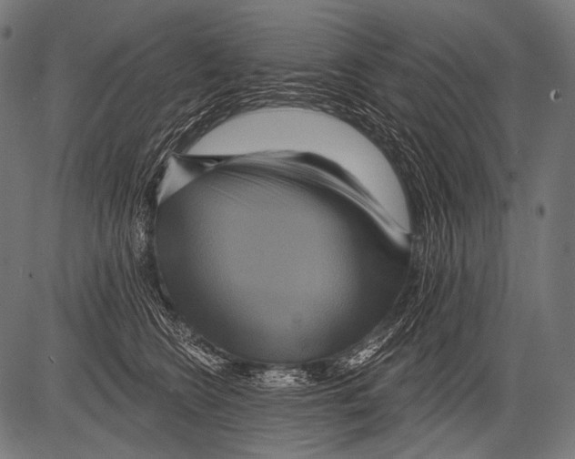 X0000081500566200702100058