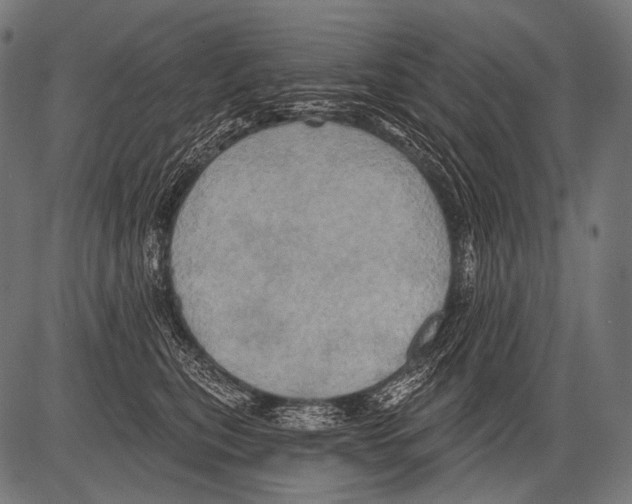 X0000081500567200702100058
