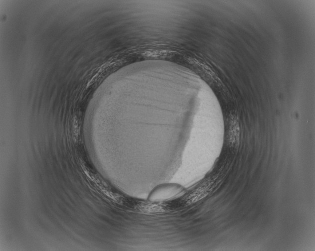 X0000081500569200702100058
