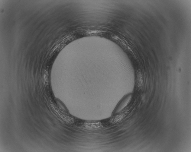 X0000081500571200702100058