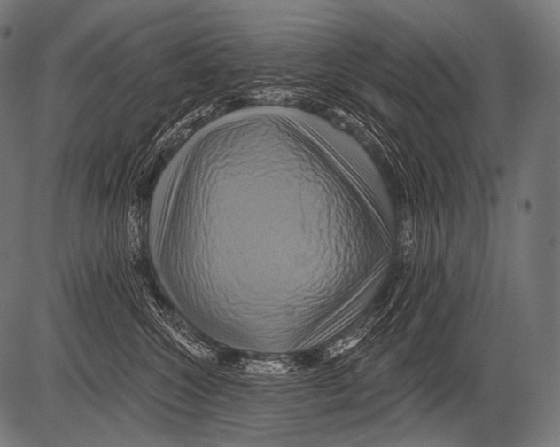 X0000081500572200702100058