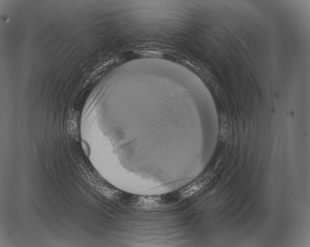 X0000081500573200702100058