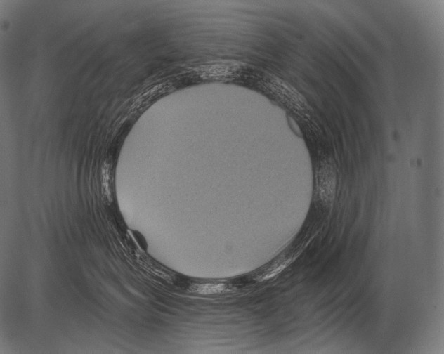 X0000081500575200702100058