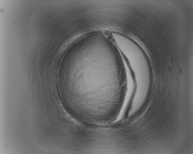 X0000081500577200702100058